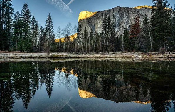 Forest, light, trees, mountains, lake, reflection, rocks, symmetry