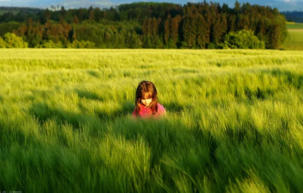 Picture greens, grass, the sun, children, background, mood, shadow, meadow