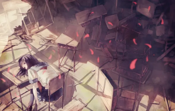 Chairs, petals, dump, class, schoolgirl, sitting, desks, sailor