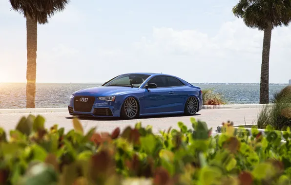 Picture car, Audi, audi, coupe, tuning, rs5, rechange