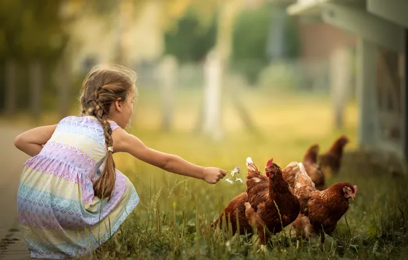 Picture girl, bokeh, braids, chickens
