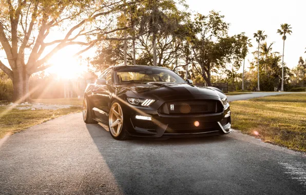 Picture Shelby, Ford Mustang Shelby GT350, GT350, Mustang, Ford