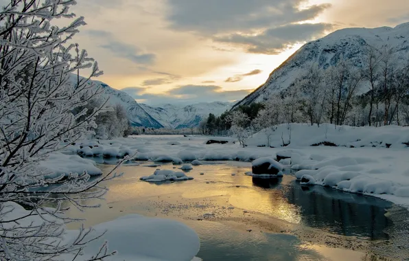 Picture winter, snow, trees, mountains, river, the evening