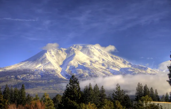 Clouds, snow, mountains, CA, USA, trees., Shasta