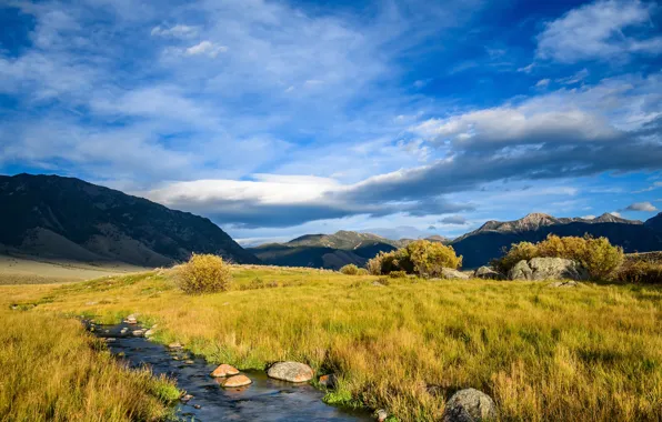 Picture field, autumn, the sky, grass, clouds, trees, mountains, blue