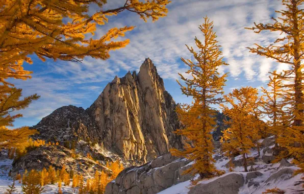 Picture snow, mountains, Presic Peak, trees, Washington, rocks, clouds, USA