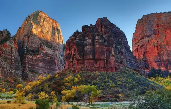 Autumn, the sky, trees, nature, rocks, Utah, USA, the bushes