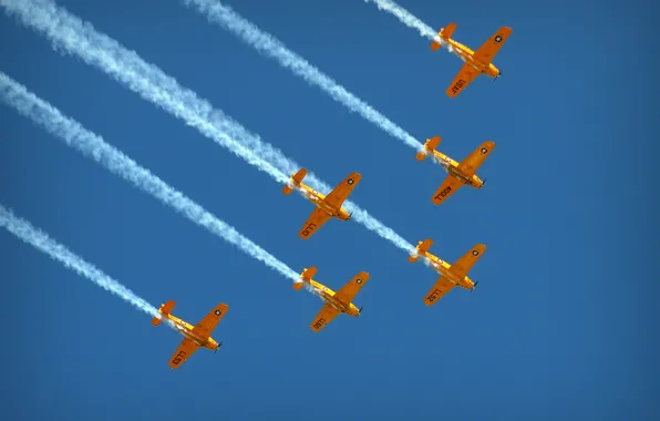 The sky, the plane, smoke, flight demonstration squadron