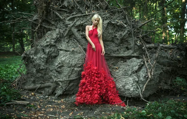 Picture forest, leaves, trees, nature, roots, earth, figure, slim