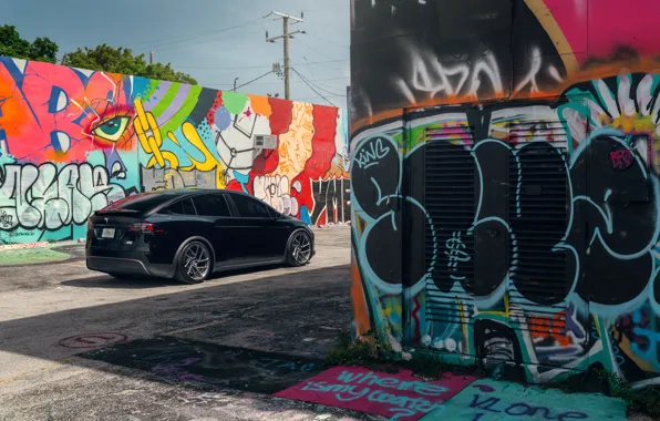 Black, Graffiti, Tesla, Model X, Rear, Tesla Model X