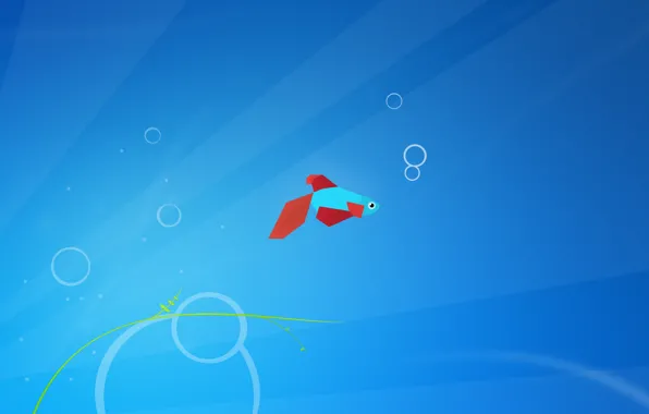 Minimal, minimalism, windows 8, fish, Aero+