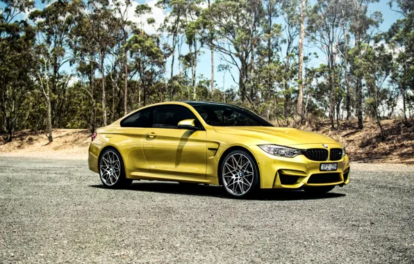 Picture BMW, BMW, side, Coupe, F82