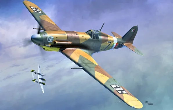 Fighter, Italy, Fiat G.55, Piston aircraft, Combat aircraft