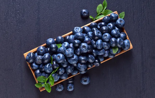 Berries, food, blueberries, basket, vitamins, blueberry