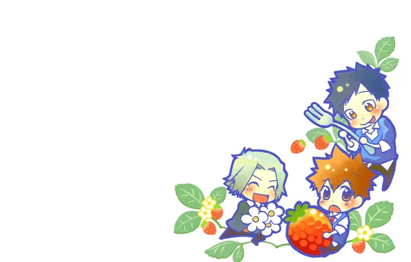 Berries, background, minimalism, kids, Katekyo Hitman Reborn, Teacher mafia Reborn