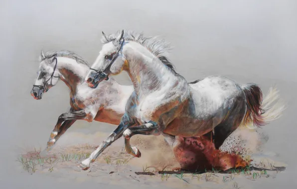 Picture figure, horses, dust, horse, running, pair