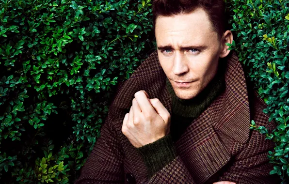 Greens, actor, male, coat, the bushes, Tom Hiddleston, Tom Hiddleston