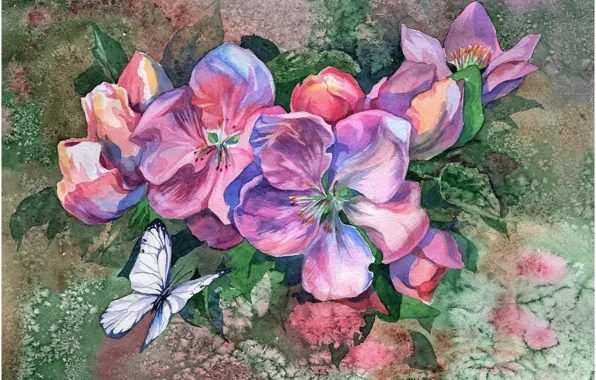 Flowers, background, butterfly, picture, watercolor, painting, Apple blossoms, the watercolor drawing
