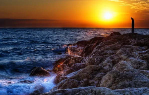 Picture sea, wave, the sun, squirt, stones, shore
