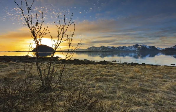 The sky, trees, mountains, lake
