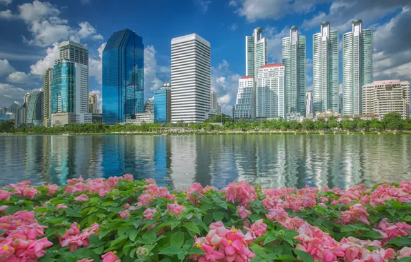 Water, flowers, building, Thailand, Bangkok, Thailand, promenade, skyscrapers