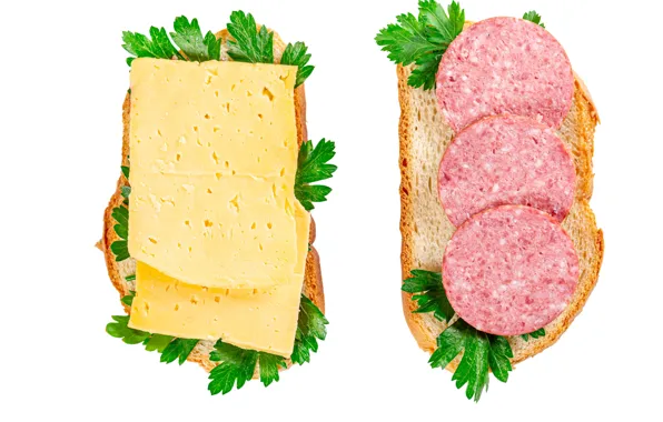 Picture cheese, white background, sausage, sandwiches