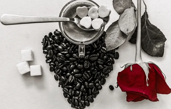 Picture heart, rose, coffee, grain, Cup, sugar, still life, Valentine's Day