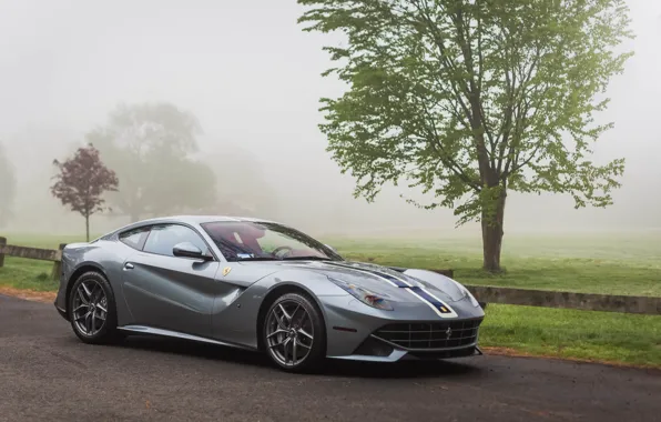 Ferrari, Berlinetta, F12, Fog