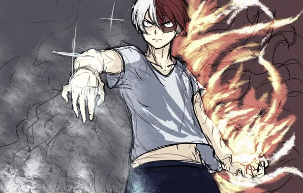 My Hero Academia, Boku No Hero Academy, Todoroki Shoto, My Hero Academy