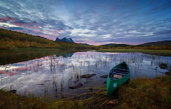 Forest, the sky, grass, clouds, trees, sunset, mountains, lake