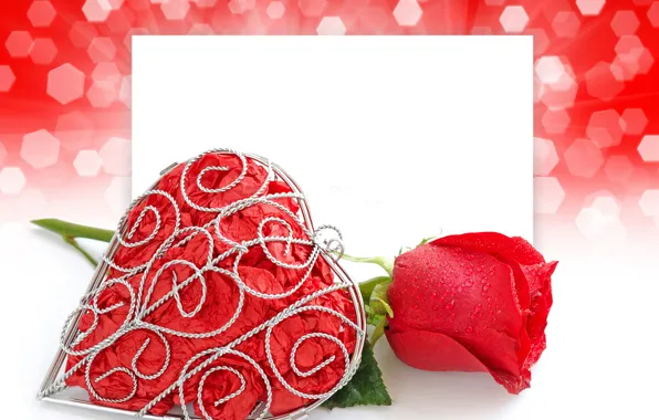 Flower, love, heart, rose, Valentine's day, Valentine's Day