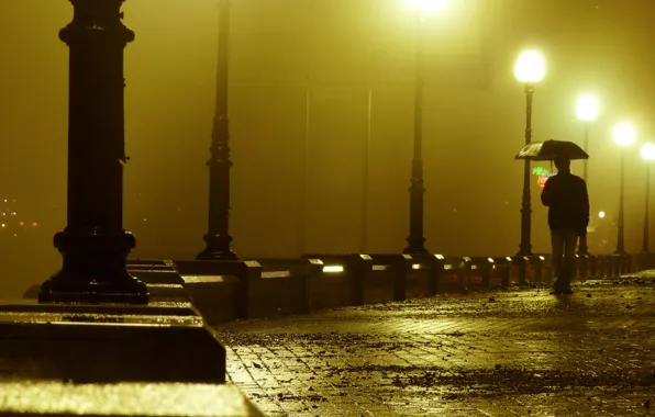 Picture lights, loneliness, rain, people, the evening, promenade