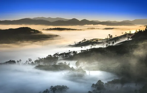 Picture trees, mountains, fog, Vietnam