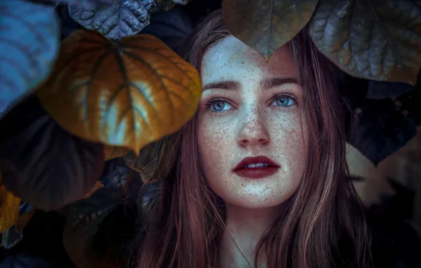 Picture leaves, girl, Ashley