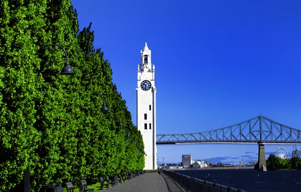 Picture the sky, trees, bridge, watch, tower, port, Montreal, Montreal