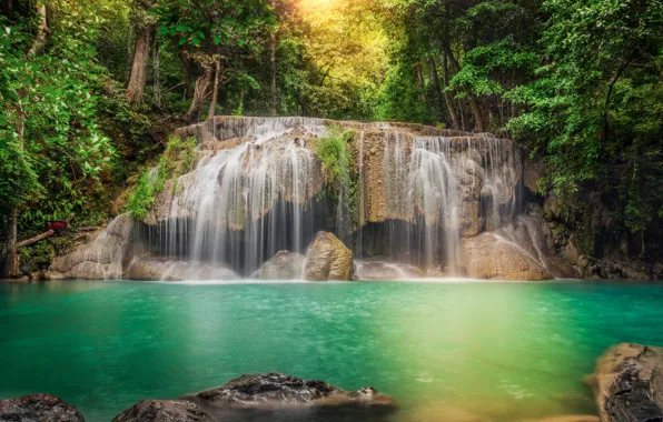 Picture forest, trees, river, stones, waterfall, treatment, stream, jungle