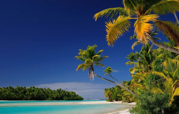 Beach, Islands, tropics, palm trees, Laguna, Oceania, Cook Islands, Aitutaki atoll