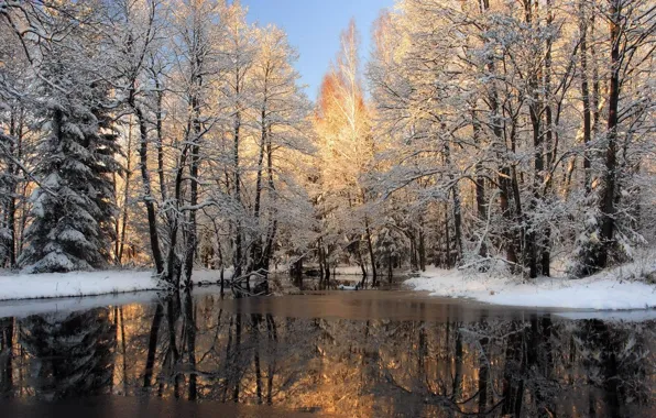 Picture winter, trees, reflection, river