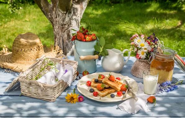 Picture summer, berries, Breakfast, honey, honey, fresh, lawn, toast