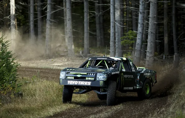 Forest, forest, Chevrolet, chevrolet, truck