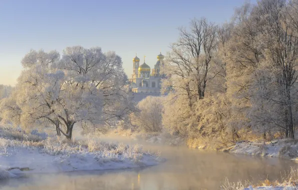 Picture winter, frost, grass, snow, trees, landscape, nature, river