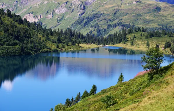 Forest, mountains, lake, the slopes, house, Bank