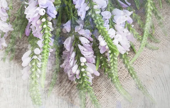 Flowers, bouquet, flowers, bouquet