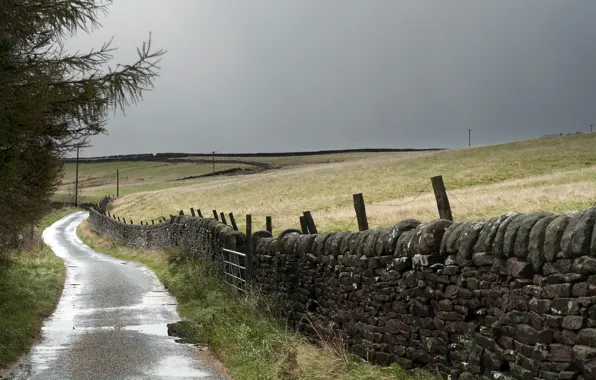 Road, landscape, the fence