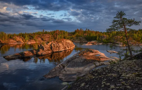 Autumn, forest, clouds, light, mountains, lake, rocks, shore