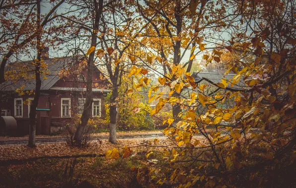 Autumn, leaves, trees, yellow, house, yellow, village, Russia