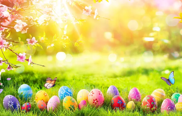 Flowers, eggs, spring, colorful, Easter, happy, blossom, flowers