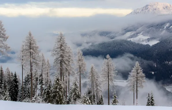 Picture winter, snow, trees, mountains, Austria