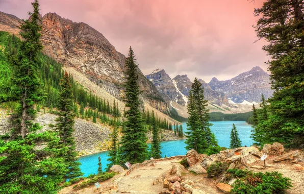 Trees, mountains, ate, Canada, Banff National Park, Canada, Moraine Lake, Valley of the Ten Peaks