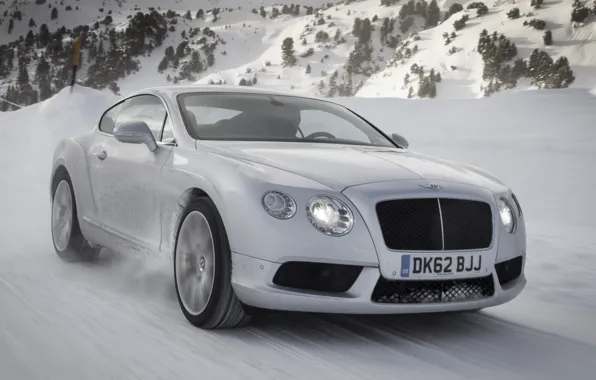 Picture Bentley, Continental